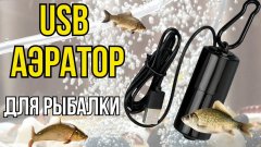 USB компрессор (аэратор) для рыбалки. Как сохранить живца для рыбалки