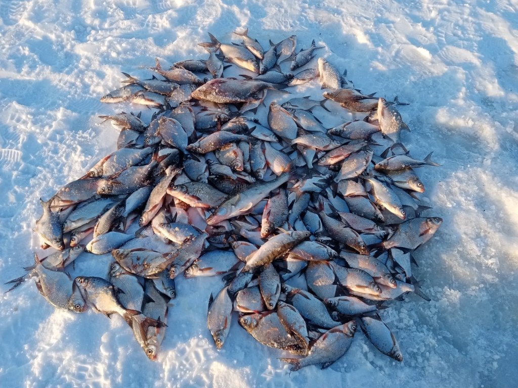 Северный объезд. Верхняя яма. Черти рулят