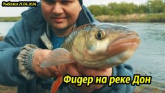 Тайны успешной рыбалки на реке Дон: поимка крупного голавля и леща весной на фидер!