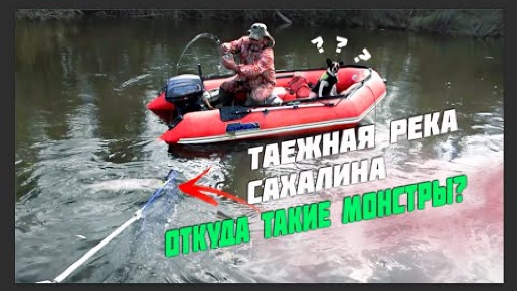 Таёжная река забита крупным тайменем!! Ох уж эти сахалинские монстры!!!