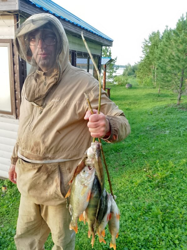 Окунь попёр, а я в больничке!.. 😥