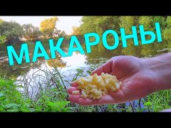 Ловля рыбы на МАКАРОНЫ! Плотва, Густера, Рак Вечерняя рыбалка