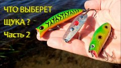 Воблер или блесна (часть 2)? Что выберет щука в сентябре? Lucky Craft Malas, Ima Komomo-II и др.