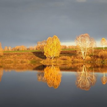 Золотая осень.