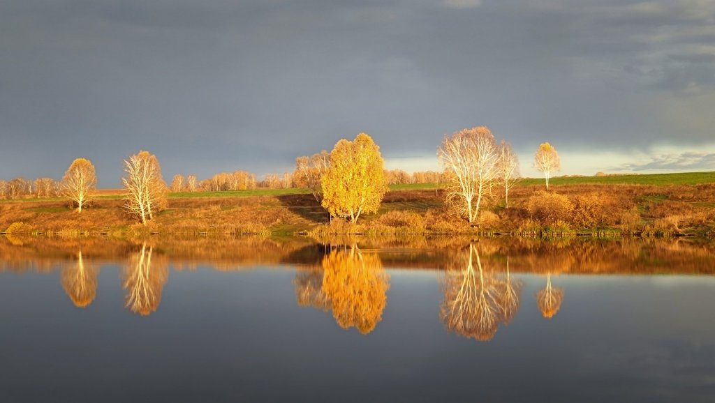 Золотая осень.