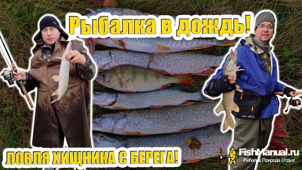 Рыбалка в дождь. Осень пришла, а щука ушла! Трудовая береговая рыбалка на щуку