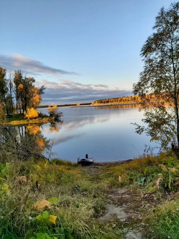 Золотая осень