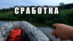 Вода в чулыме упала настолько что щука оказалась в кустах