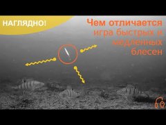 Наглядно! Чем быстрые блесны отличаются от медленных