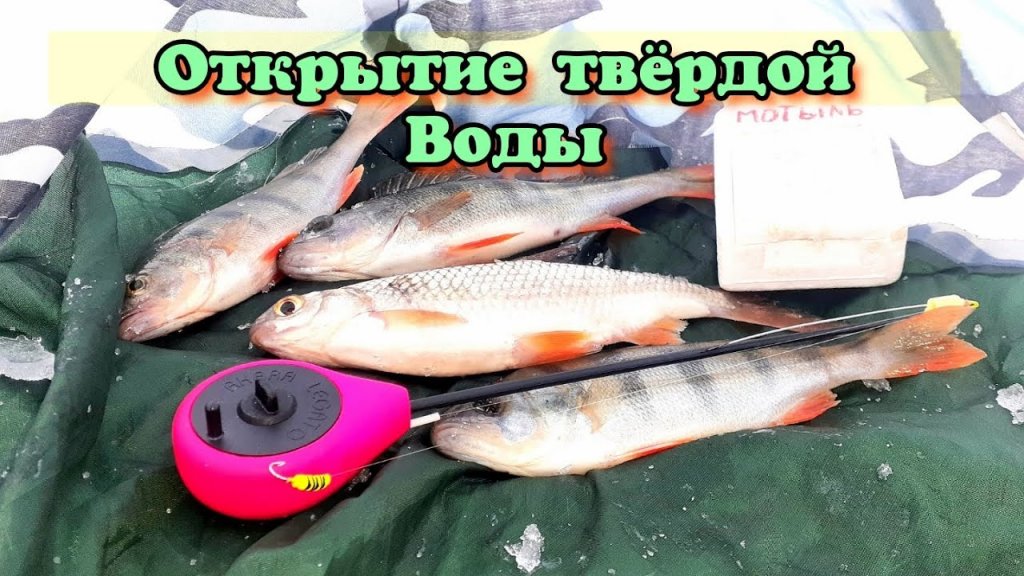 Открытие твёрдой воды | Первый лёд | За окунем