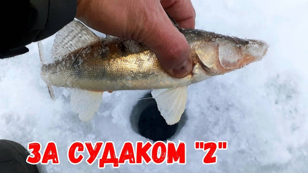 Рыбалка ДЕЖАВЮ. На море за Судаком.