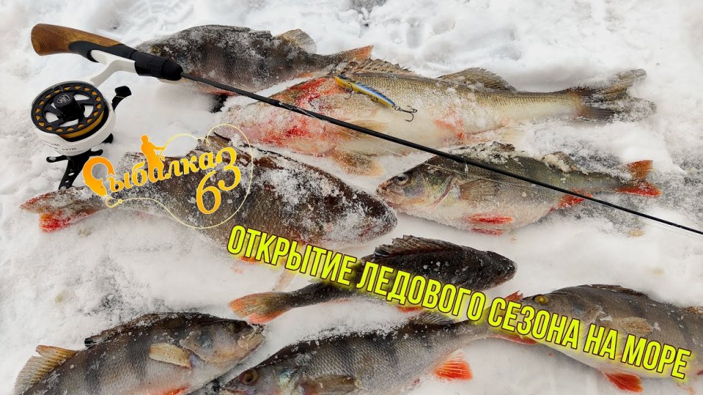 Открытие ледового сезона на море: ловим крупных окуней и судаков!