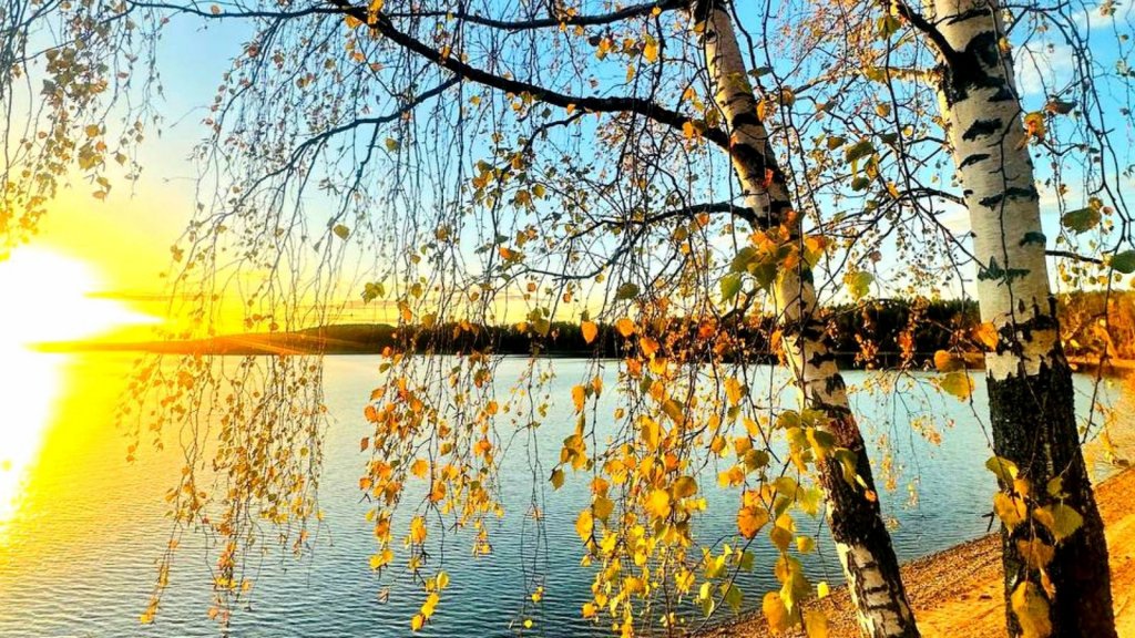 Можайское Водохранилище.