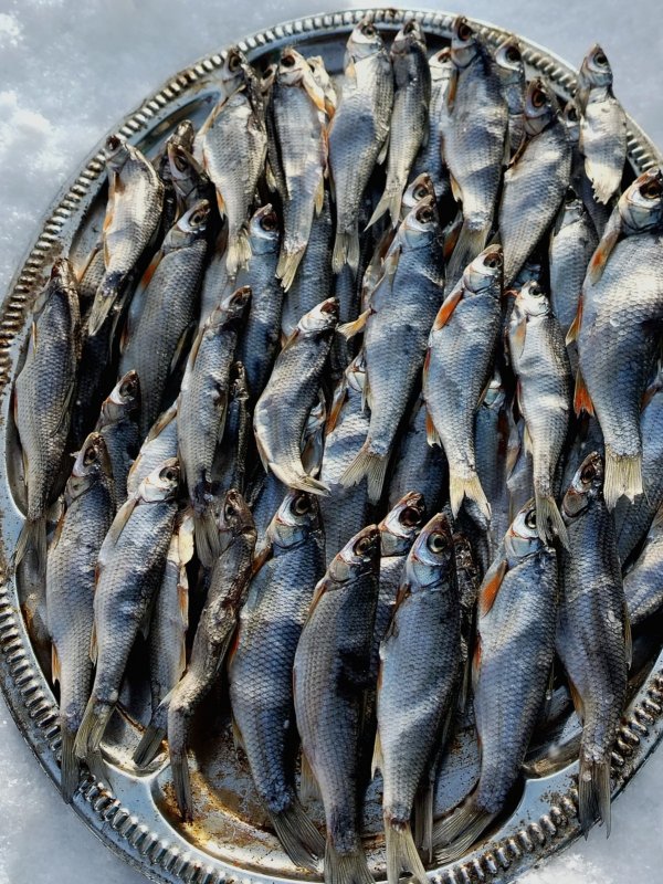 Елец вяленый, инского разлива).