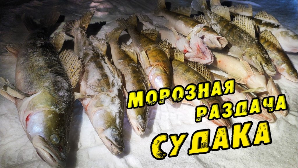 ТАКАЯ РЫБАЛКА Бывает ОДИН раз в ЗИМУ! Ушли от толпы и поймали КУЧУ СУДАКОВ! Зимняя Рыбалка на Судака