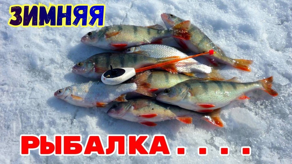 Зимняя рыбалка в фотокадрах. Для вас, друзья!