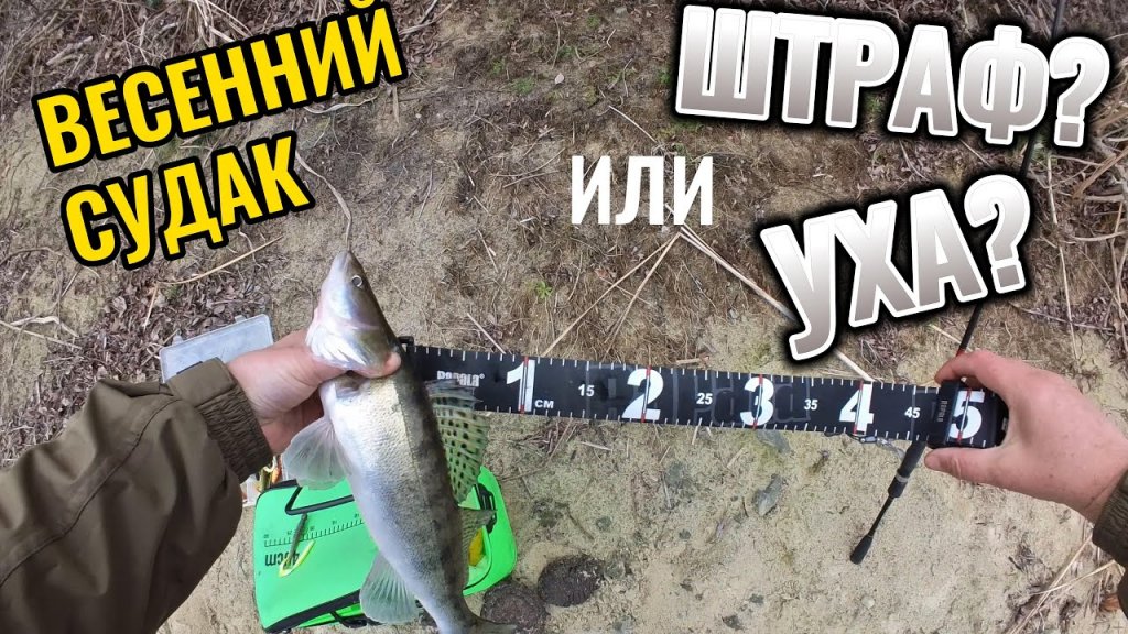 Ловим судака на малых реках (Рыбалка 2025) | #vovabeer