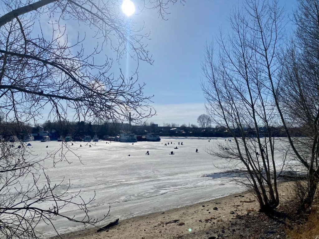 Весенний воскресный затон.