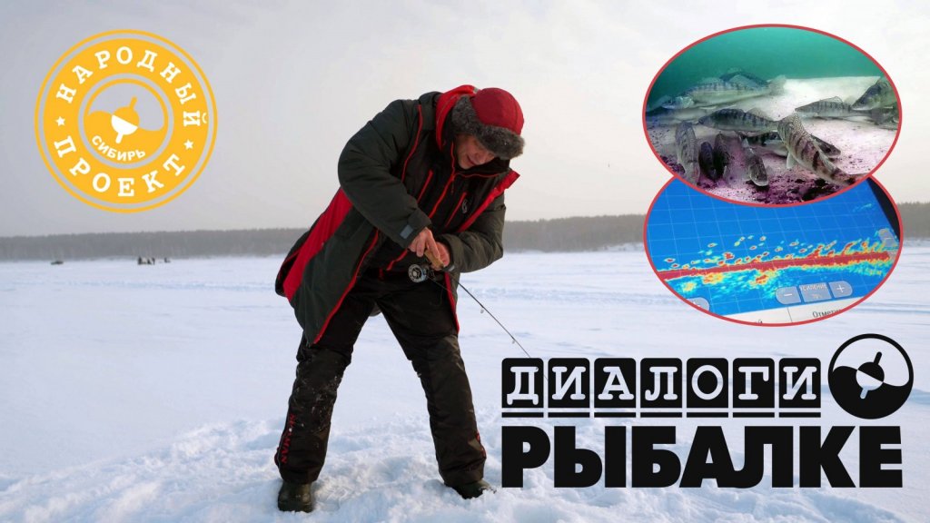 Охота за судаком на вибы. Секреты успеха!