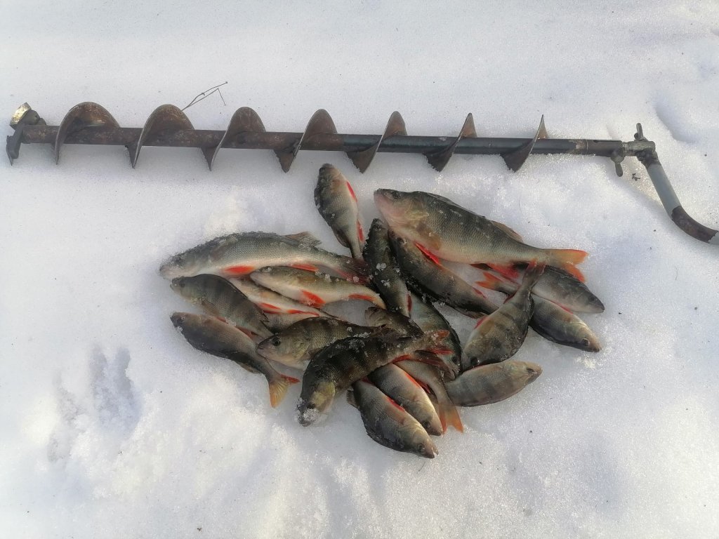 Крохалёвка.