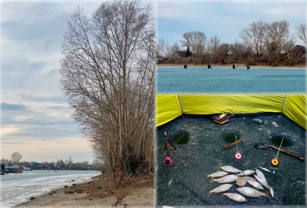 День Сурка в затонских краях.