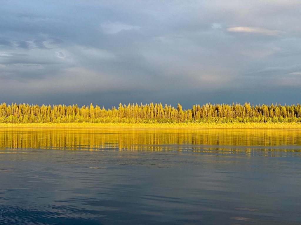 Таёжный берег Вилюя.