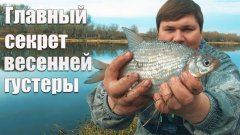 Как ловить густеру в апреле? Рыбалка на фидер на Дону!