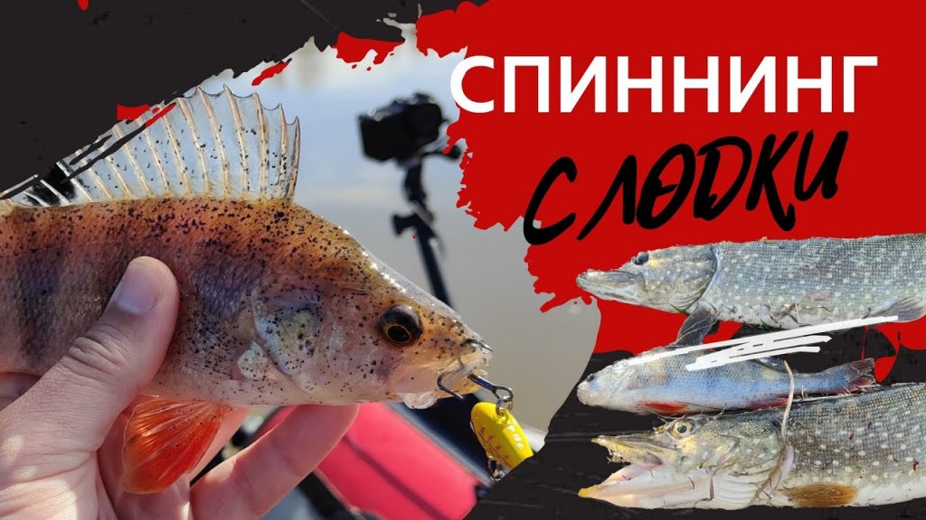 Открытие сезона: спиннинг с лодки перед нерестом