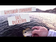 Особенности берегового спиннинга в ОАЭ (Фуджейра, Оманский залив)