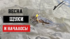 И началось! Азарт борьбы, блеск чешуи на солнце, адреналиновый всплеск от каждой пойманной хищницы