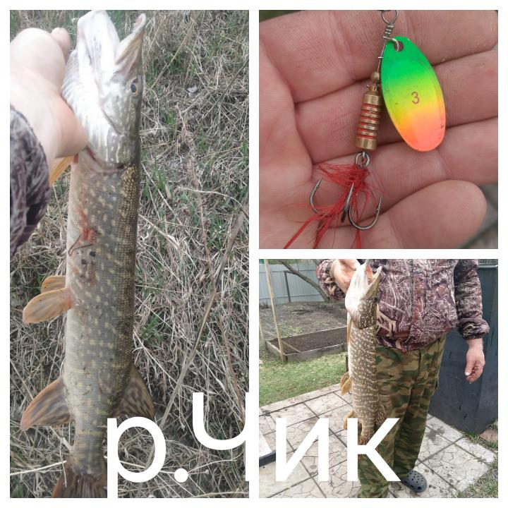 На блесну  LJ №3