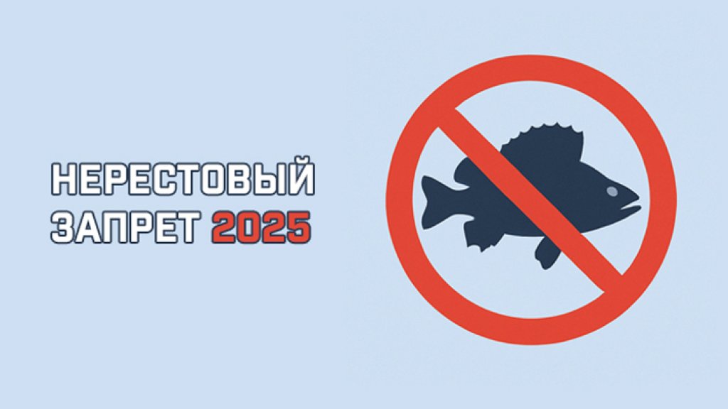 Нерестовый запрет 2025. Где и как можно ловить рыбу в Новосибирской области во время нереста