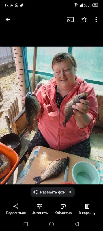 Сезон открыт