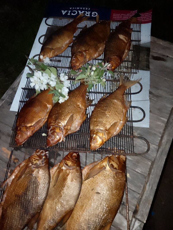 Из всякой рыбы - есть польза.