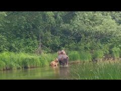 Незабываемая рыбалка в Якутии!