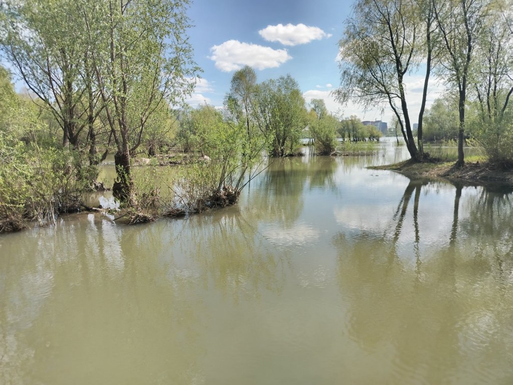 Обь, 14.05. Водичка на подъёме.