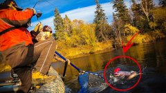 От петухов таймень просто одурел. Рыбалка на Сахалине. Огромные таймени маленькой реки.
