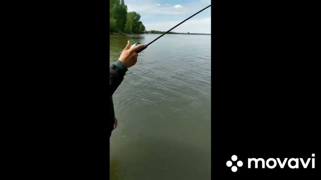 Хотели наловить окуней на закате, а поймали рыбу за которой гонялись всю жизнь!