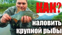 Ушел от толпы и наловил огромной плотвы, крупных карасей и язей. Рыбалка на фидер на реке дон