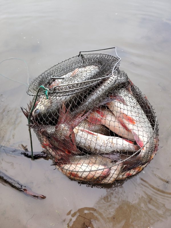 Матвеевка. Мах 7метров