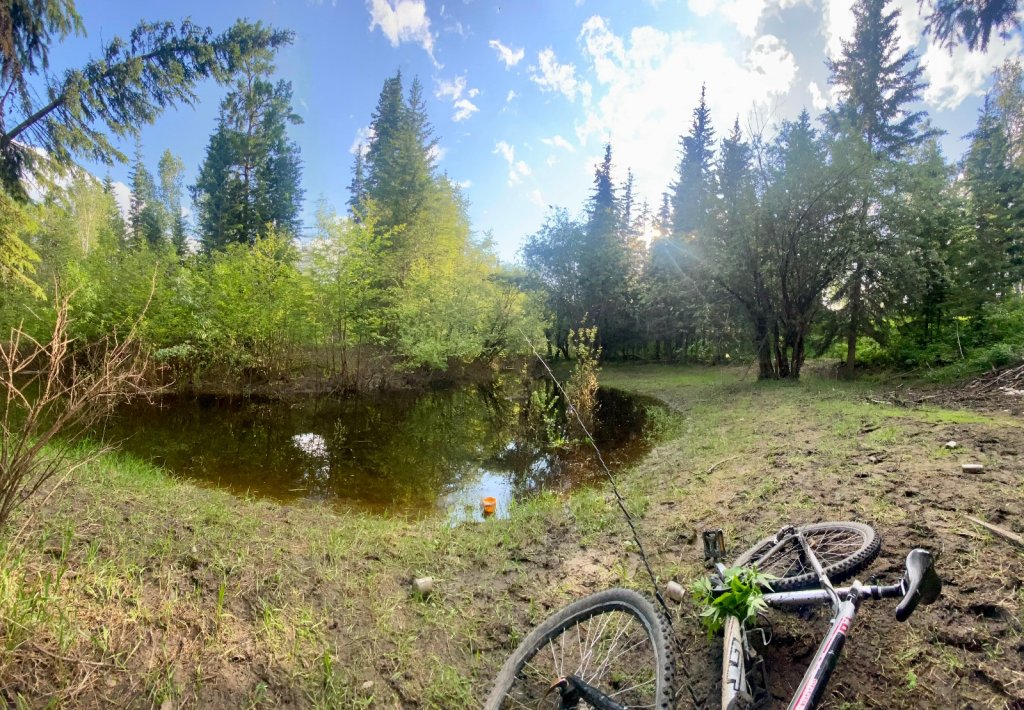 Комариный рай на мелкоречке.