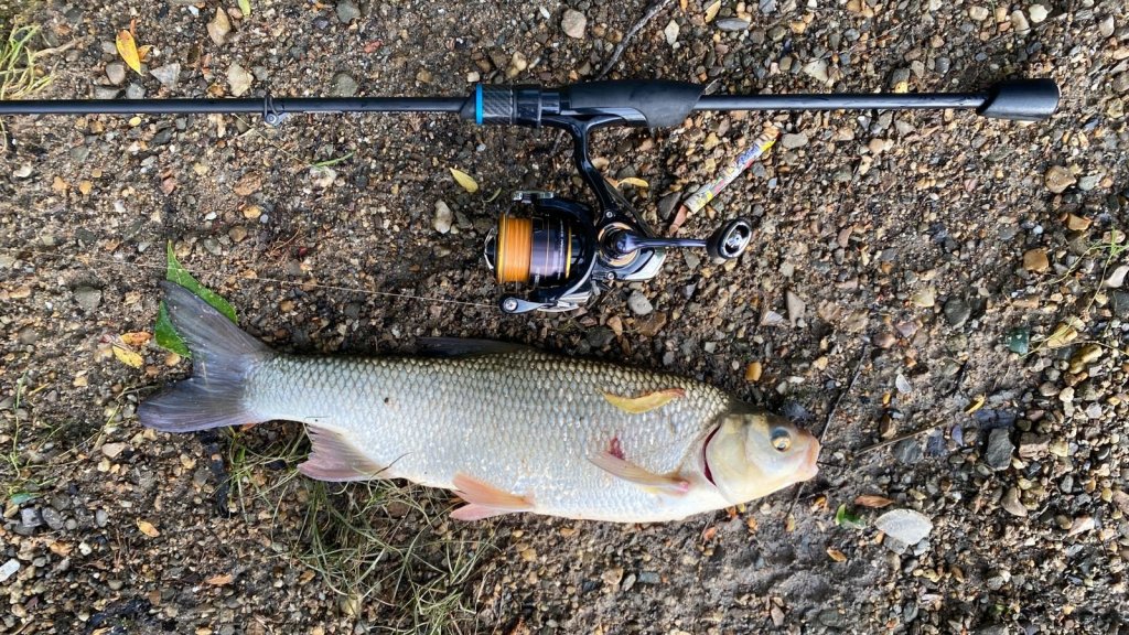 В первый день после запрета на ЮЛ