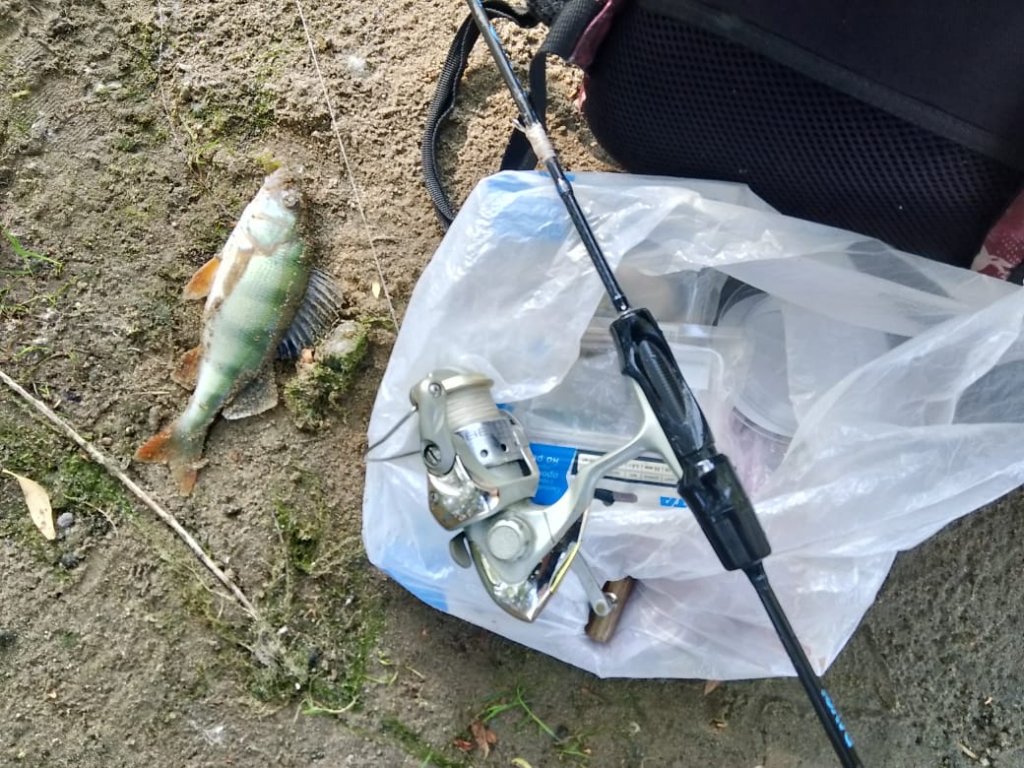 Речной стандарт.