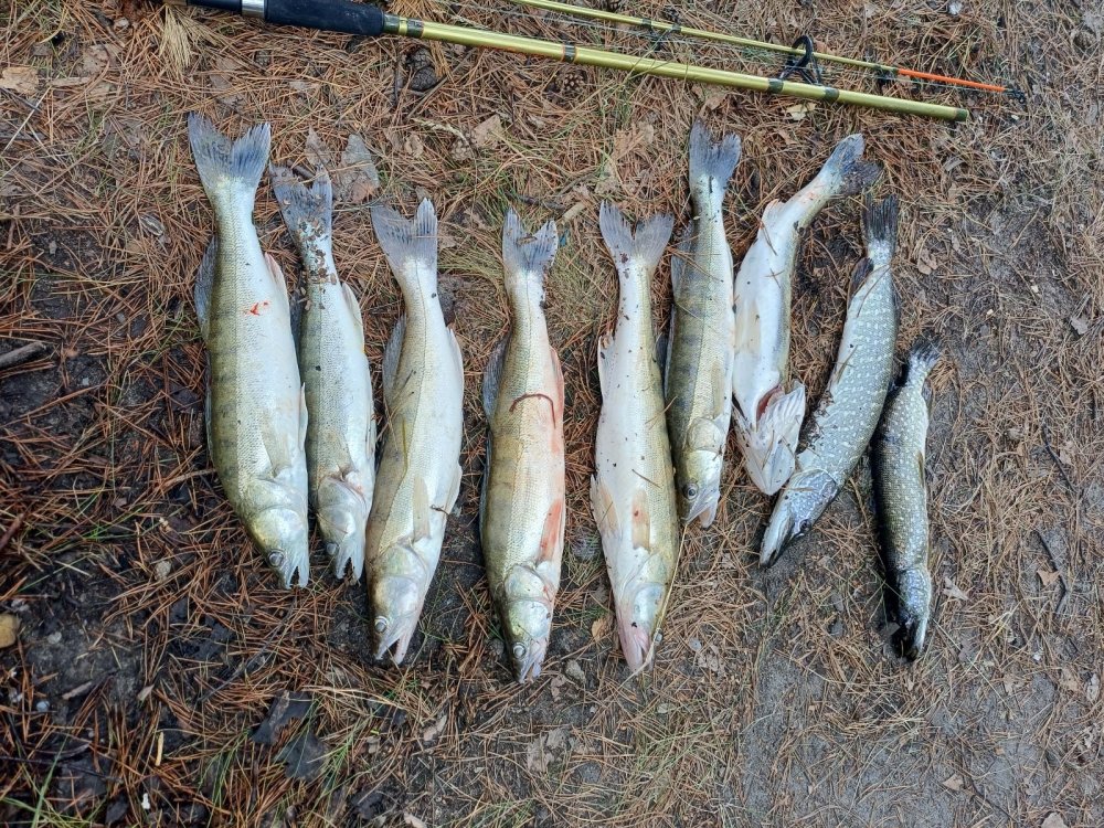 Открытие рыбалки 12 06 25.