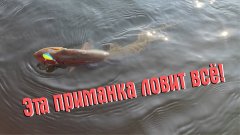 Эта приманка ловит всё! Трофейный окунь, щука и судак на волге!!!