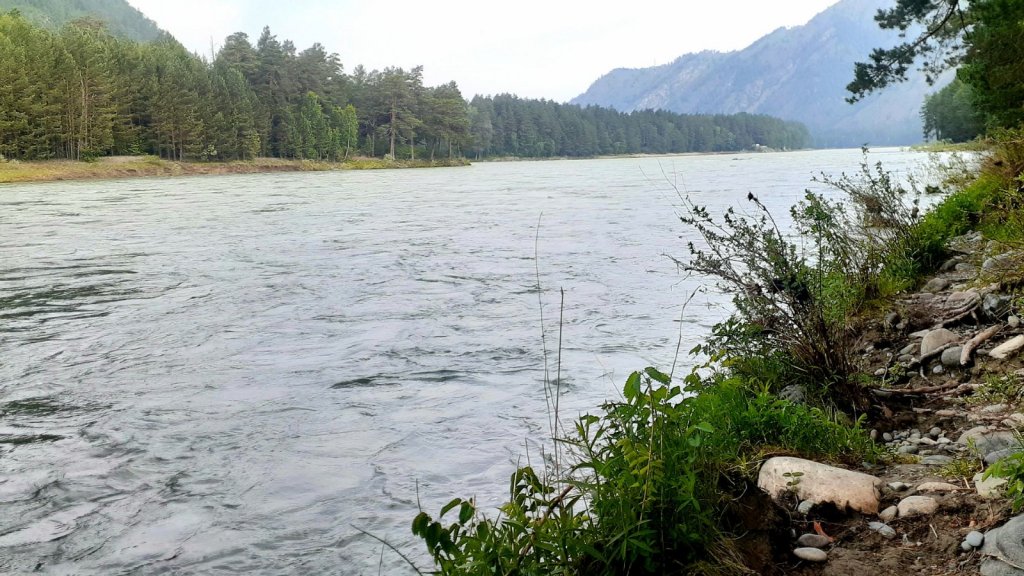 Катунь в Июне....