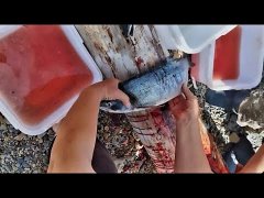 Рыбалка и красота природы Хабаровского края!