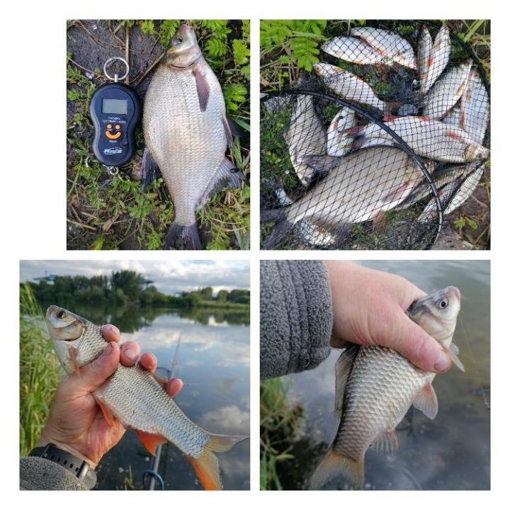Котлован за огородами. 25.06.25