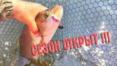 Щука в шоке, судак в растерянности, а жерех просто рад — сезон открыт!
