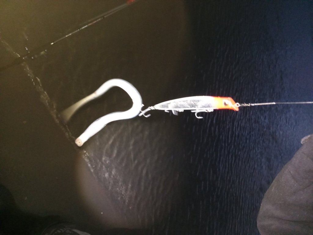 Тоже хищник.